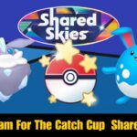 Best Team For The Catch Cup Shared Skies